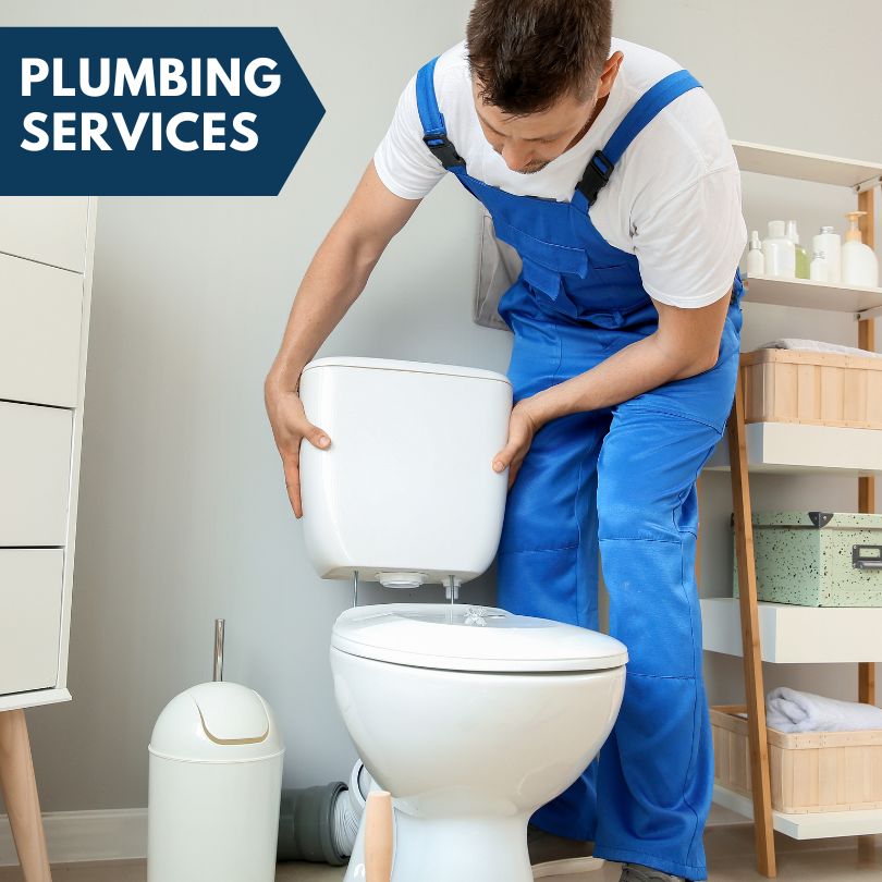 Plumbing Company in Delancey, NY